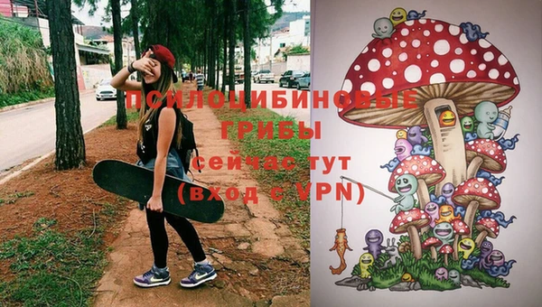 стафф Кукмор