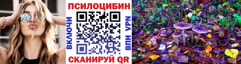 Псилоцибиновые грибы Psilocybe  даркнет сайт  Трёхгорный 